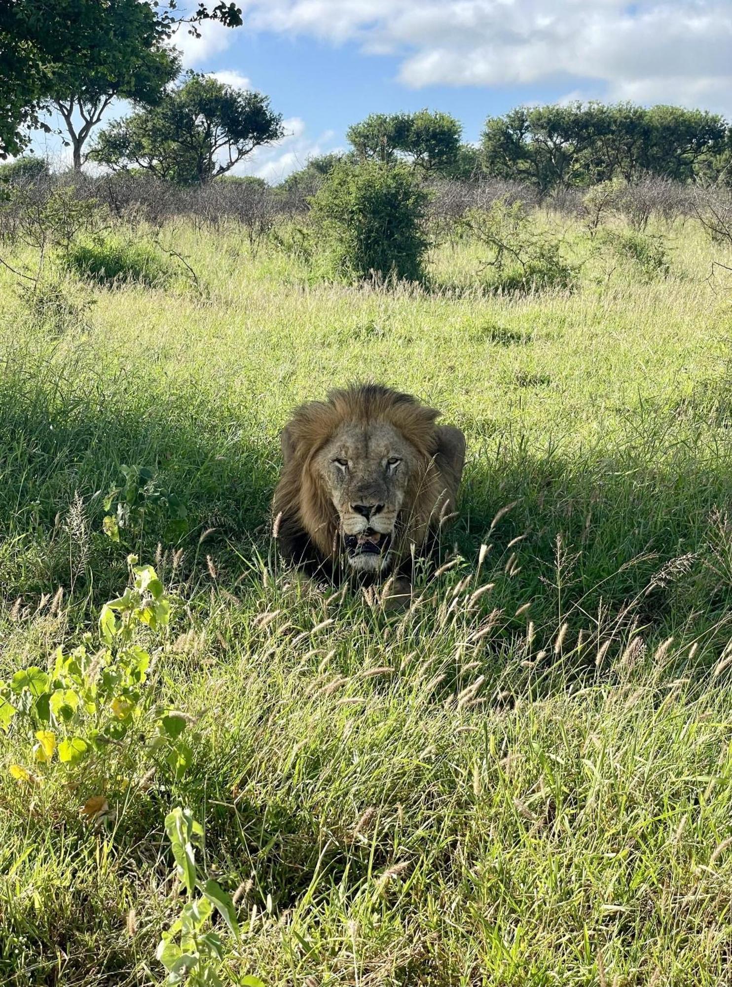 Lodge Rhino River *
